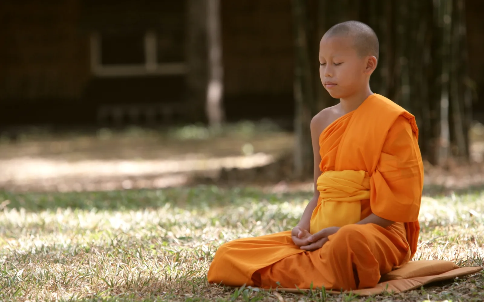 A young monk sitting cross-legged on the grass in morning light